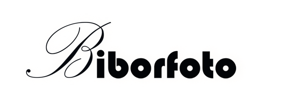 Logo for www.biborfoto.hu